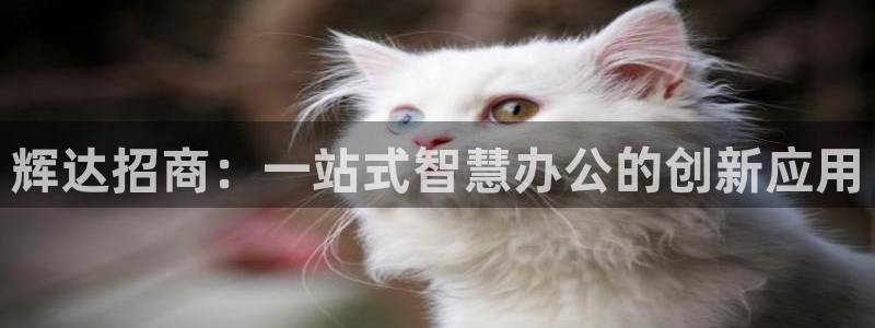 新宝5体育热门赛事有哪些：辉达招商：一站式智慧办公的创新应用