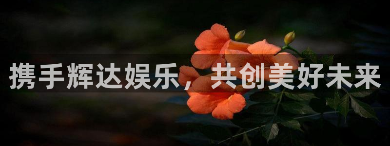 新宝5体育老板是谁：携手辉达娱乐，共创美好未来
