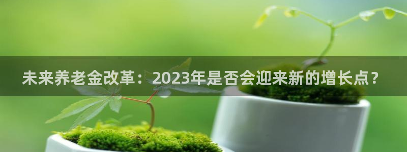 新宝5主管：未来养老金改革：2023年是否会迎来新的增长点？