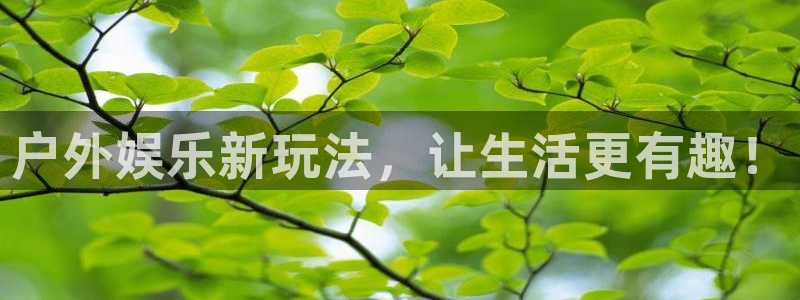 新宝5凯捷平台：户外娱乐新玩法，让生活更有趣！