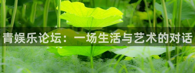 新宝54平台注册：青娱乐论坛：一场生活与艺术的对话