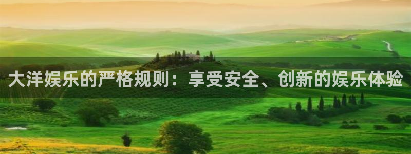 新宝52官网：大洋娱乐的严格规则：享受安全、创新的娱乐体验