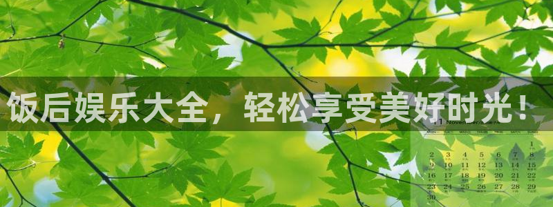 新宝5体育平台注册：饭后娱乐大全，轻松享受美好时光！