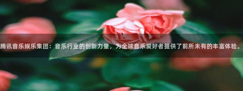 新宝53官网：腾讯音乐娱乐集团：音乐行业的创新力量，为全球音乐爱好者提供了前所未