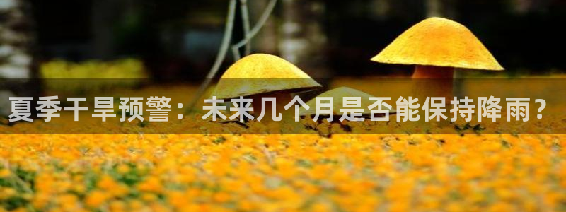 新宝5体育4：夏季干旱预警：未来几个月是否能保持降雨？