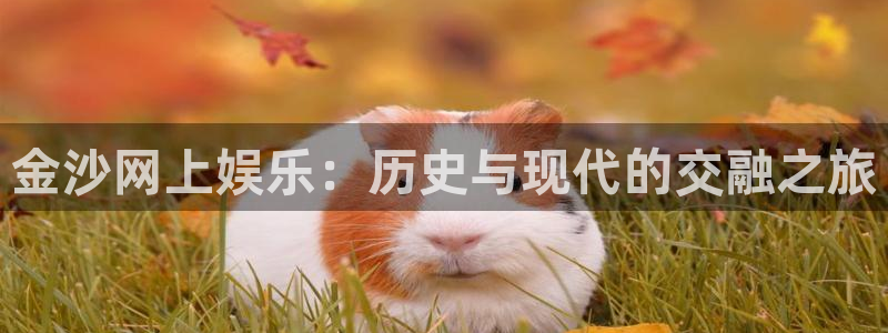 新宝5体育热门赛事有哪些：金沙网上娱乐：历史与现代的交融之旅