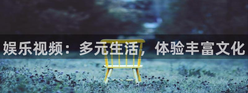 新宝5：娱乐视频：多元生活，体验丰富文化