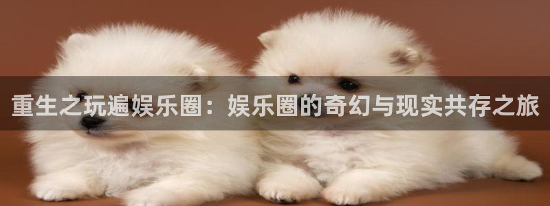 新宝5平台在线开户：重生之玩遍娱乐圈：娱乐圈的奇幻与现实共存之旅