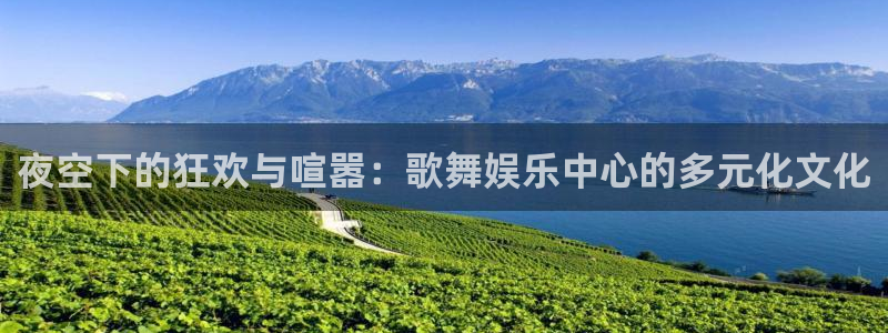 新宝5体育凯捷平台主管：夜空下的狂欢与喧嚣：歌舞娱乐中心的多元化文化